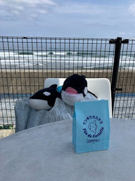 鴨川シーワールドに投稿された画像（2024/5/30）