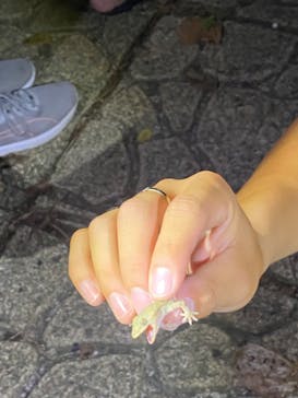 宮古島 ADVENTURE PiPi（ミヤコジマ アドベンチャー ピピ）に投稿された画像（2024/5/30）