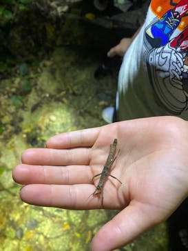 宮古島 ADVENTURE PiPi（ミヤコジマ アドベンチャー ピピ）に投稿された画像（2024/5/30）