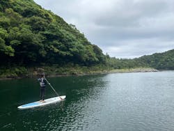 屋久島フィールドガイドスピニカに投稿された画像（2024/5/30）