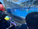 大分マリーンパレス水族館 「うみたまご」に投稿された画像（2024/5/31）