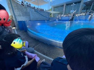 大分マリーンパレス水族館 「うみたまご」に投稿された画像（2024/5/31）