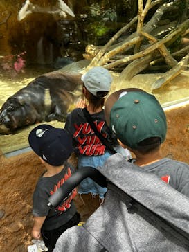 神戸どうぶつ王国に投稿された画像（2024/5/31）