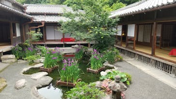 仙巌園に投稿された画像（2024/5/30）