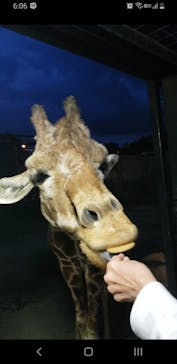 那須サファリパークに投稿された画像（2024/5/31）