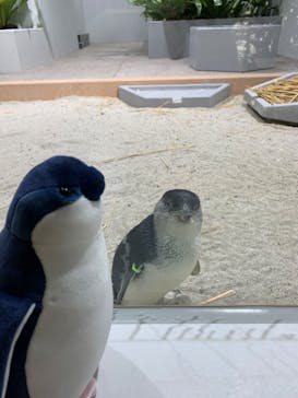 AOAO SAPPOROに投稿された画像（2024/5/31）