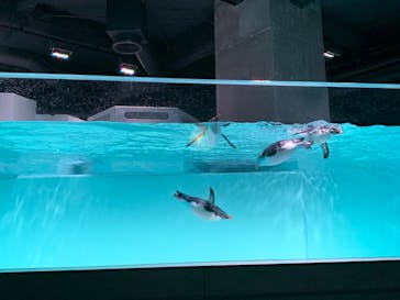 AOAO SAPPOROに投稿された画像（2024/5/31）