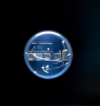 AOAO SAPPOROに投稿された画像（2024/5/31）