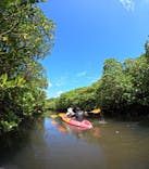 西表島 ADVENTURE PiPi（アドベンチャーピピ）に投稿された画像（2024/5/31）