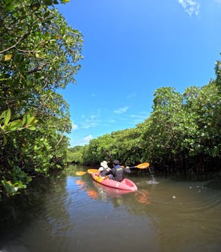 西表島 ADVENTURE PiPi（アドベンチャーピピ）に投稿された画像（2024/5/31）