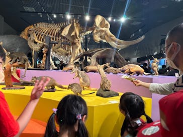 特別展「大哺乳類展３－わけてつなげて大行進」に投稿された画像（2024/5/31）