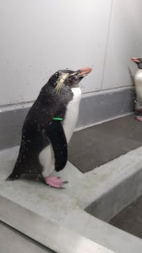 AOAO SAPPOROに投稿された画像（2024/5/31）