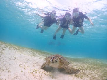 宮古島マリンショップSmileyに投稿された画像（2024/5/31）