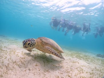 宮古島マリンショップSmileyに投稿された画像（2024/5/31）