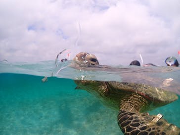 宮古島マリンショップSmileyに投稿された画像（2024/5/31）