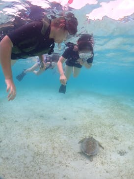 宮古島マリンショップSmileyに投稿された画像（2024/5/31）