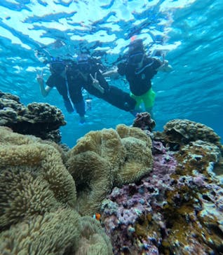 宮古島 ADVENTURE PiPi（ミヤコジマ アドベンチャー ピピ）に投稿された画像（2024/5/31）