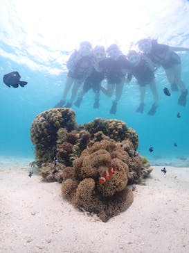 宮古島マリンショップSmileyに投稿された画像（2024/5/31）