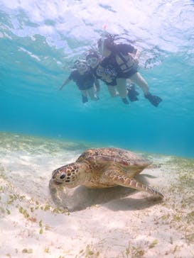 宮古島マリンショップSmileyに投稿された画像（2024/5/31）