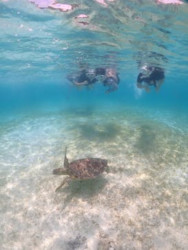 宮古島マリンショップSmileyに投稿された画像（2024/5/31）