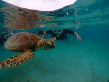 宮古島マリンショップSmileyに投稿された画像（2024/5/31）