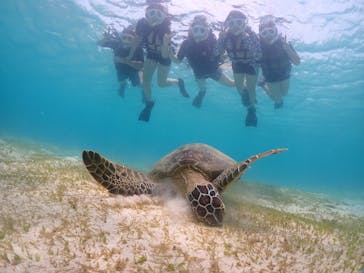 宮古島マリンショップSmileyに投稿された画像（2024/5/31）