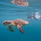 西表島 ADVENTURE PiPi（アドベンチャーピピ）に投稿された画像（2024/5/31）