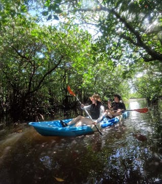 西表島 ADVENTURE PiPi（アドベンチャーピピ）に投稿された画像（2024/5/31）