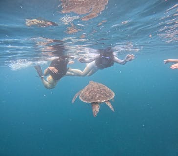 西表島 ADVENTURE PiPi（アドベンチャーピピ）に投稿された画像（2024/5/31）