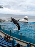 鴨川シーワールドに投稿された画像（2024/5/31）