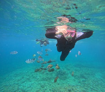 沖縄マリンサービス碧に投稿された画像（2024/5/31）