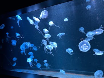 AOAO SAPPOROに投稿された画像（2024/5/31）