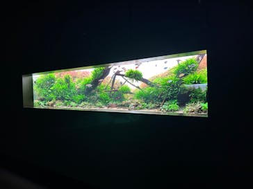 AOAO SAPPOROに投稿された画像（2024/5/31）