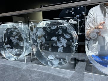 AOAO SAPPOROに投稿された画像（2024/5/31）