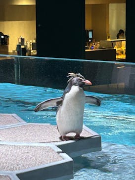 AOAO SAPPOROに投稿された画像（2024/5/31）