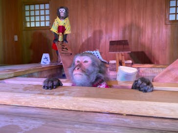 アソビュー！ポイントに投稿された画像（2024/5/31）