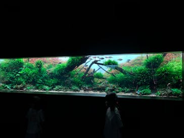 AOAO SAPPOROに投稿された画像（2024/5/31）