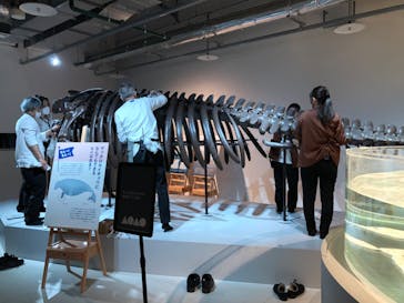 AOAO SAPPOROに投稿された画像（2024/5/31）