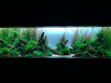 AOAO SAPPOROに投稿された画像（2024/5/31）