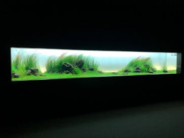 AOAO SAPPOROに投稿された画像（2024/5/31）