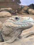 体感型動物園iZooに投稿された画像（2024/5/31）