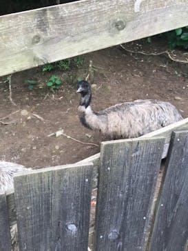 体感型動物園iZooに投稿された画像（2024/5/31）