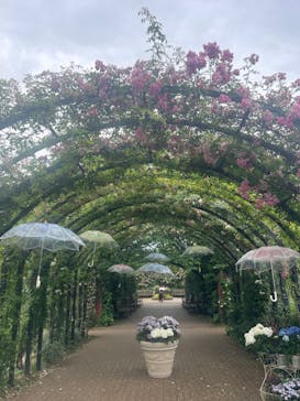 横浜イングリッシュガーデンに投稿された画像（2024/5/31）