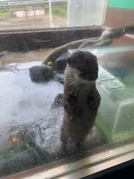 箱根園水族館に投稿された画像（2024/5/31）
