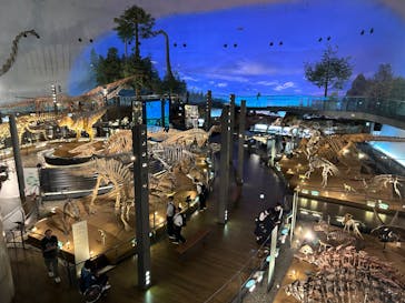 福井県立恐竜博物館に投稿された画像（2024/5/31）