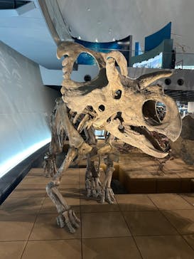 福井県立恐竜博物館に投稿された画像（2024/5/31）