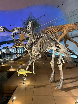 福井県立恐竜博物館に投稿された画像（2024/5/31）