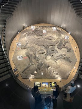 福井県立恐竜博物館に投稿された画像（2024/5/31）