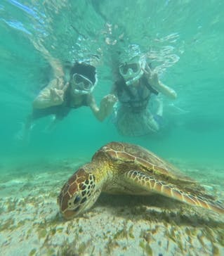 宮古島マリン SUGAR3（シュガースリー）に投稿された画像（2024/5/31）