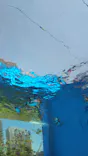サンシャイン水族館に投稿された画像（2024/5/31）